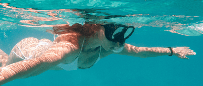 BUCEO